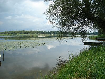 Blick auf den See in Semlin