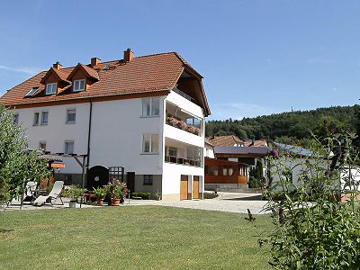 Appartamento vacanza Apartment Am Oberen Tor, Svizzera Francone