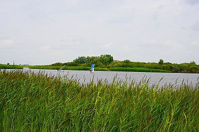 Surfen in der Meldorfer Bucht